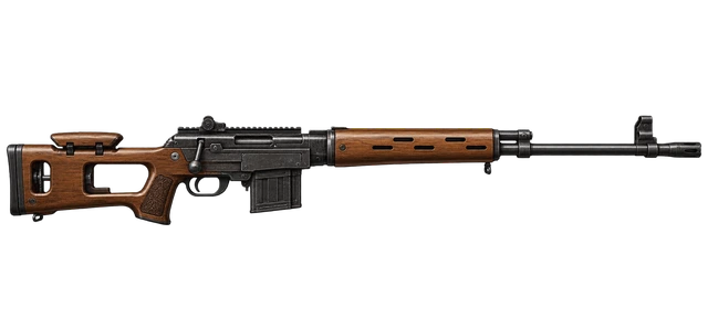 SVD