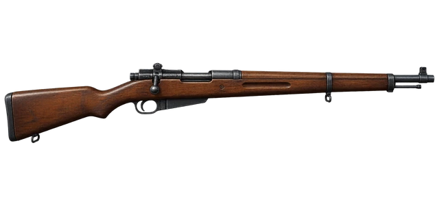 Mosin Nagant